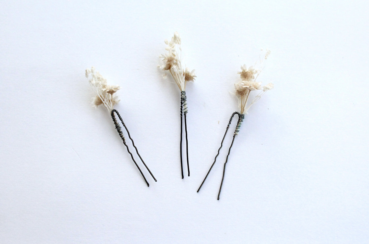 Pinettes Mayala blanc en fleurs séchées sur fond blanc