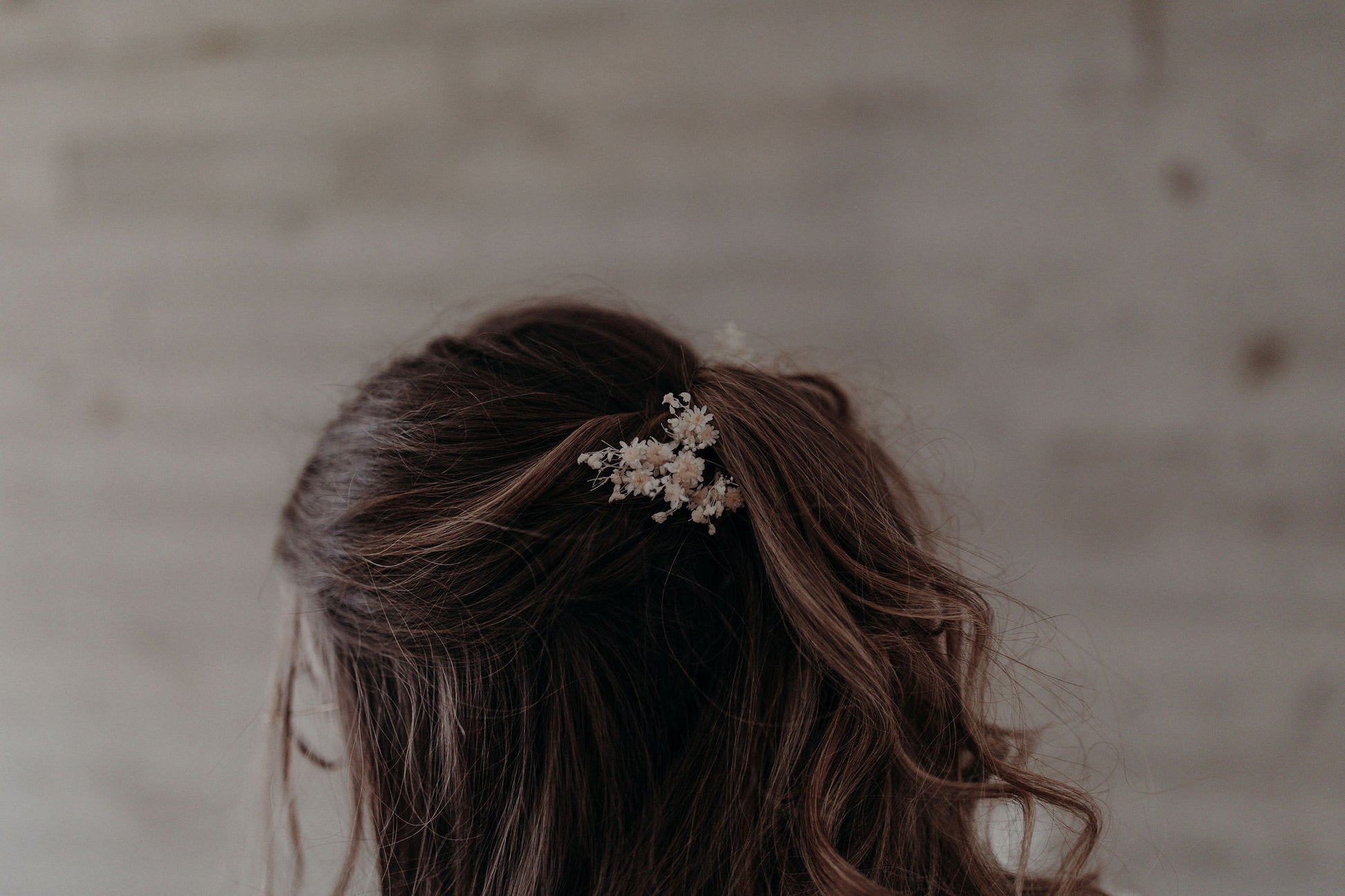 Pinettes Mayala blanc en fleurs séchées dans cheveux semi-attachés bruns