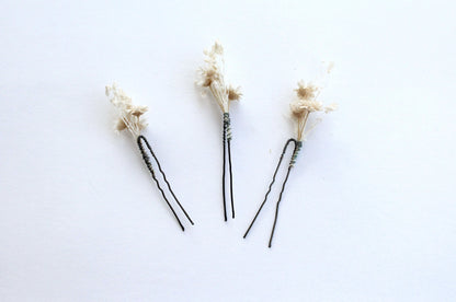 Pinettes Mayala blanc en fleurs séchées sur fond blanc